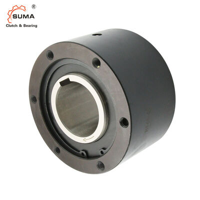 BS425 BS450 Transmisión de torque 980000Nm Embrague de repuesto de ruedas libres para fábrica de cemento