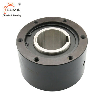 BS425 BS450 Transmisión de torque 980000Nm Embrague de repuesto de ruedas libres para fábrica de cemento